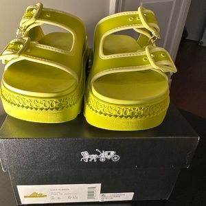 Coach Lucy Sandal